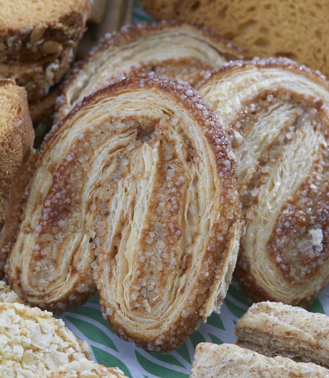 Palmier