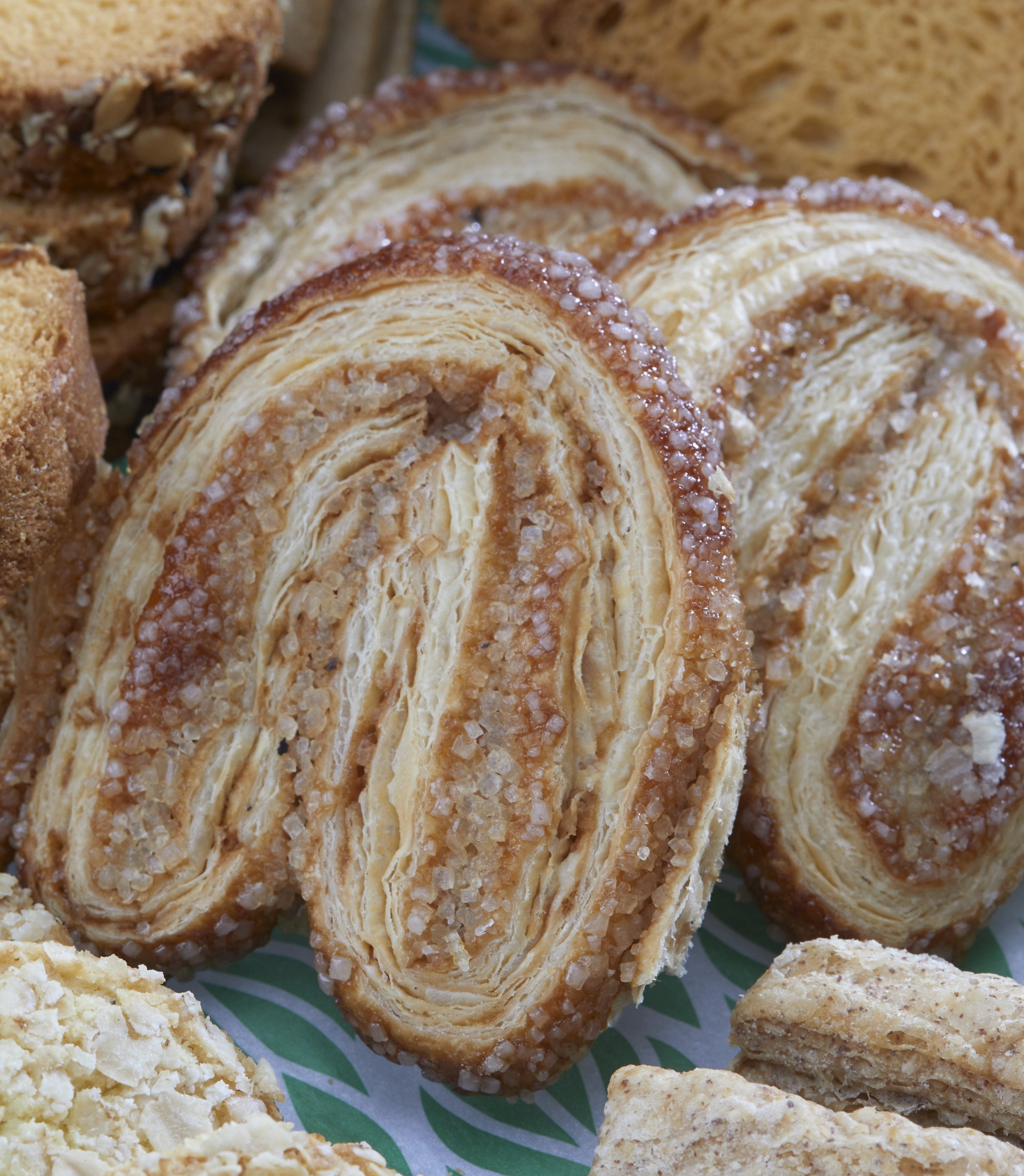 Palmier